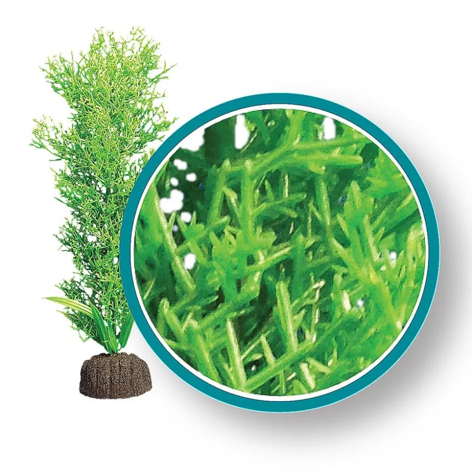 Weco Products Marine Pro Series Bushy Kelp Aquarium Plant - Green - 12 in