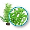 Weco Products Marine Pro Series Giant Halimeda Aquarium Plant - Green - 6 in
