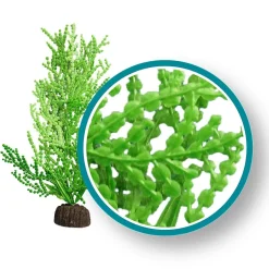 Weco Products Marine Pro Series Giant Halimeda Aquarium Plant - Green - 6 in