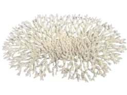 Weco Products South Pacific Coral Oval Tabletop Ornament - White - Large
