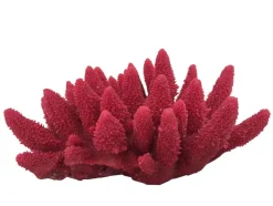 Weco Products South Pacific Coral Acorapora Humilis Ornament - Rose - Medium