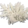 Weco Products South Pacific Coral Spiny Acorapora Ornament - White - Small