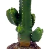 Weco Products Wecorama Badlands Tetragonus Cactus Terrarium Ornament - Brown and Green - 5.6 in