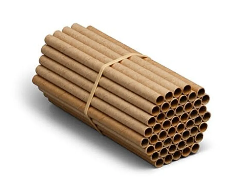 Welliver Outdoors Mason Bee Replacement Tubes - 50 Pack