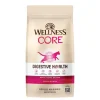Wellness Core Digestive Health Salmon Recipe Dry Cat Food