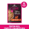 Wellness Core Mini Meals Grain-Free Shredded Chicken and Turkey in Gravy Entrée Small Breed Adult Wet Dog Food Pouch - 3 Oz - Case of 12