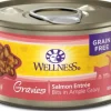 Wellness Natural Grain Free Gravies Salmon Dinner Canned Cat Food