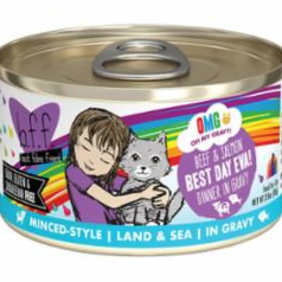 Weruva BFF BEST DAY Beef Salmon Canned Cat Food - 2.8 Oz - Case of 12