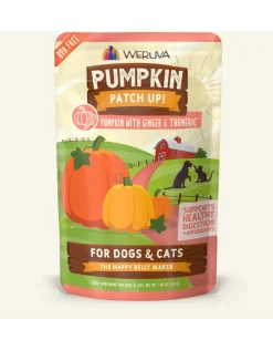 Weruva Dog and Cat Pumpkin and Ginger Wet Pet Food - 2.8 Oz Pouch - Case of 12