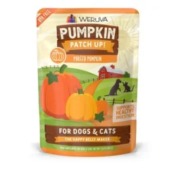 Weruva Dog and Cat Pumpkin Wet Pet Food - 2.8 Oz Pouch - Case of 12