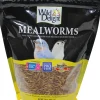 Wild Delight Advanced Mealworms Wild Bird Food - 16 Oz