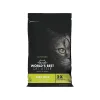 World's Best Cat Litter Yellow Bag Zero Mess Clumping Litter - Pine Scented Cat Litter - 24 lb Bag