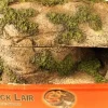 Zilla Rock Lairs - Large
