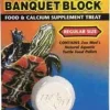 Zoo Med Laboratories Aquatic Turtle Banquet Block Food & Calcium Supplement Treats Regular