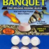 Zoo Med Laboratories Banquet Block Time-Release Saltwater or Freshwater Fish Food - Mini