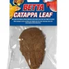 Zoo Med Laboratories Betta Habitat Catappa Leaf Aquarium Décor - Medium - 3 Pack