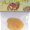 Zoo Med Laboratories Hermit Crab Natural Sea Sponge - Multi-Pack - 36 Piece