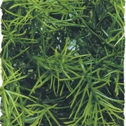 Zoo Med Laboratories Natural Cashuarina Bush Plastic Plant Aquarium Décor - Large