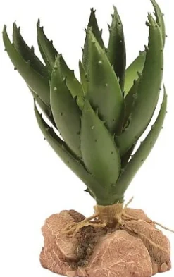 Zoo Med Laboratories Naturalistic Desert Plant Green Aloe Plastic Plant Terrarium Décor
