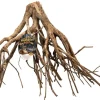 Zoo Med Laboratories Naturally Harvested Talawa Mangrove Root Aquarium Décor - Medium - 16" Inches