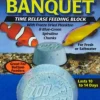 Zoo Med Laboratories Plankton Banquet Block Time-Release Saltwater or Freshwater Fish Food - Giant